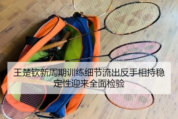 王楚钦新周期训练细节流出反手相持稳定性迎来全面检验